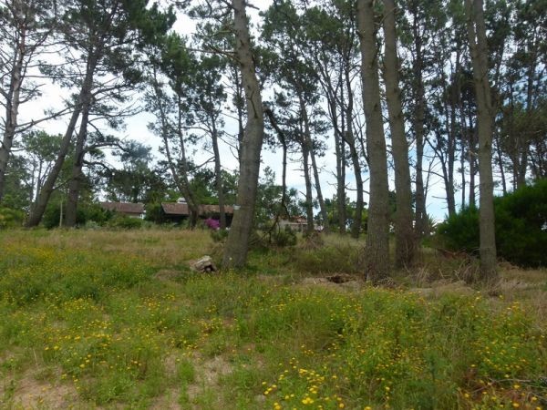 Terrenos en venta Parada 40 de Playa Mansa.
