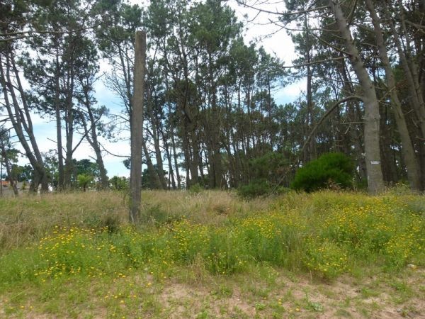 Terrenos en venta Parada 40 de Playa Mansa.