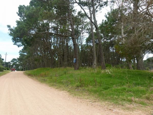 Terrenos en venta Parada 40 de Playa Mansa.