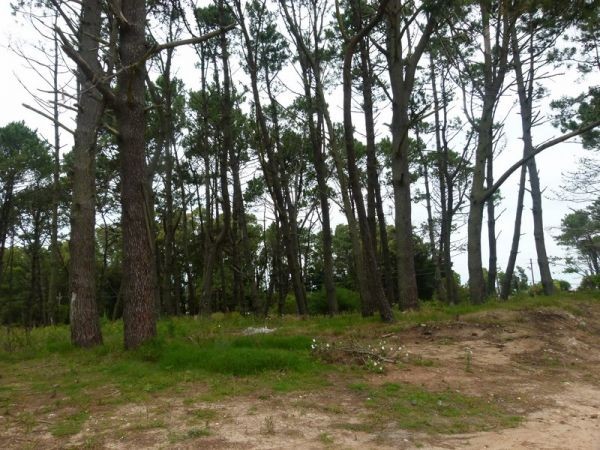 Terrenos en venta Parada 40 de Playa Mansa.