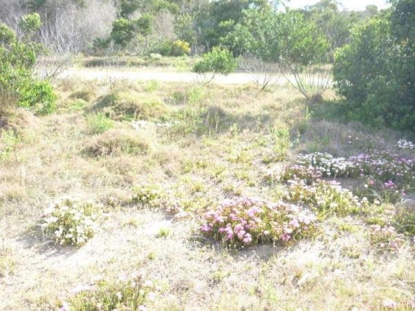 Terreno en Balneario Buenos Aires