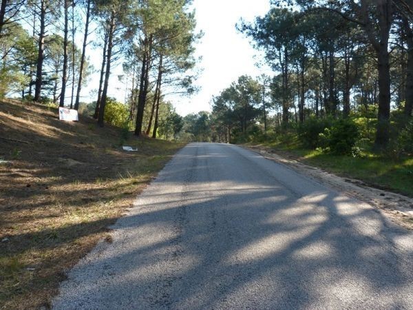 Terreno de 1234 m2 con fondo a la cancha de golf con muy buenas vistas