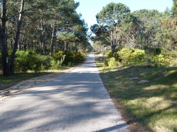 Terreno de 1234 m2 con fondo a la cancha de golf con muy buenas vistas