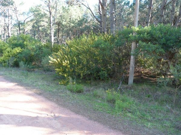 Terreno a 300 metros de la Laguna del Sauce con 1320 m2