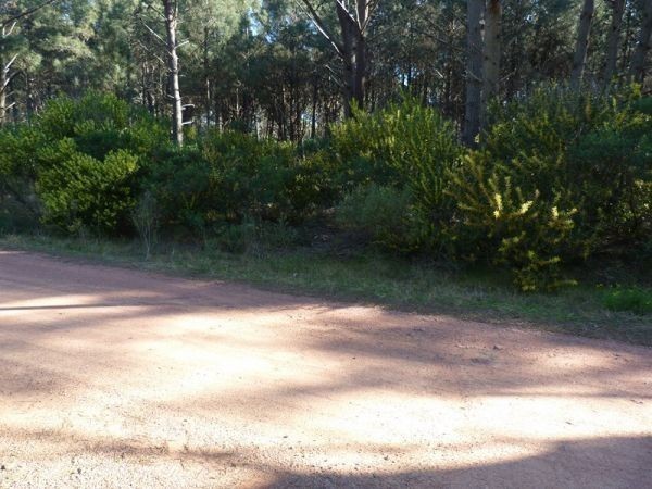 Terreno a 300 metros de la Laguna del Sauce con 1320 m2