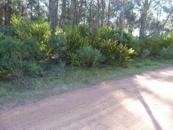 Terreno a 300 metros de la Laguna del Sauce con 1320 m2