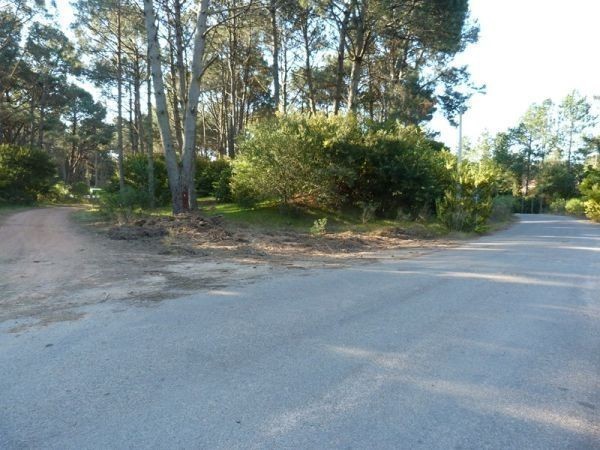 Espectacular esquina en Club del Lago sobre la avenida principal con muy buena altura.