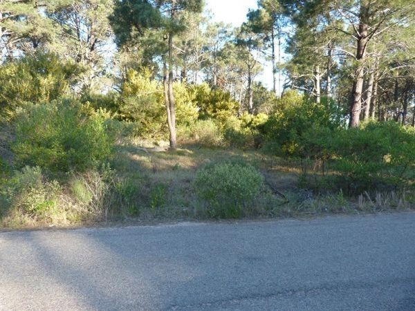 Terreno en una zona muy linda del Club del Lago con 1343 m2