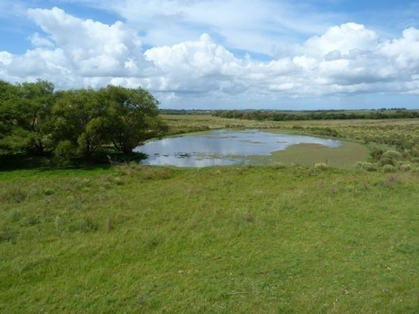 Muy linda chacra en la zona de Los Ceibos con muy buena casa.