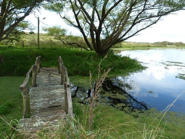Muy linda chacra en la zona de Los Ceibos con muy buena casa.