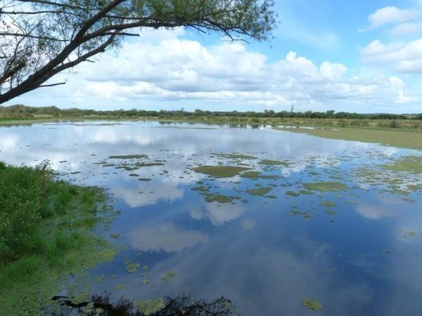 Muy linda chacra en la zona de Los Ceibos con muy buena casa.
