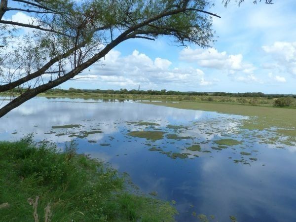 Muy linda chacra en la zona de Los Ceibos con muy buena casa.