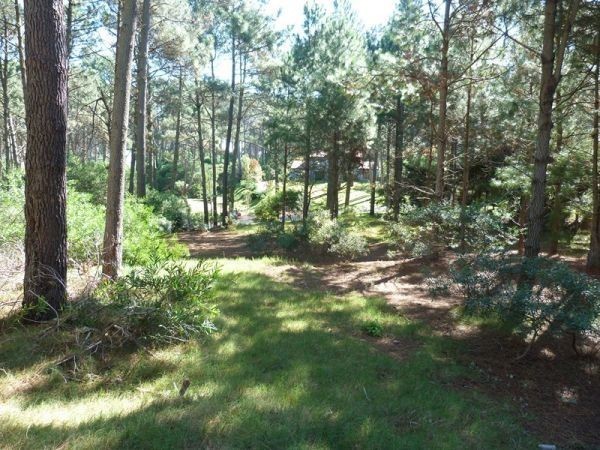 Muy lindo terreno en Club del Lago sobre la cancha de golf