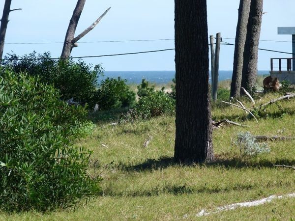 Muy buen terreno en el límite de Tío Tom a solo 60 metros del mar
