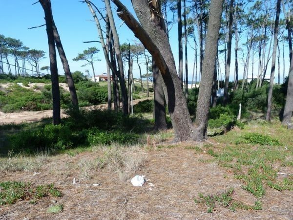 Muy buen terreno en el límite de Tío Tom a solo 60 metros del mar