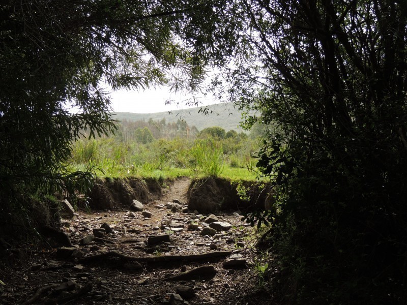 Linda chacra en Los Caracoles con costa de arroyo