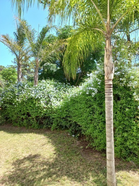 Casa en alquiler, excelente ubicación en el bosque de Montoya, La Barra con vista al mar.