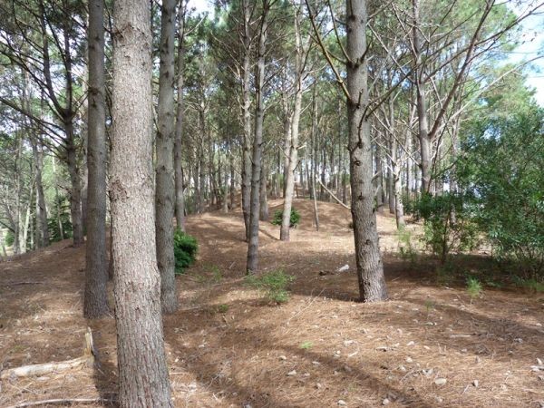 Muy buen terreno en lo mejor del Club del Lago sobre la cancha de golf