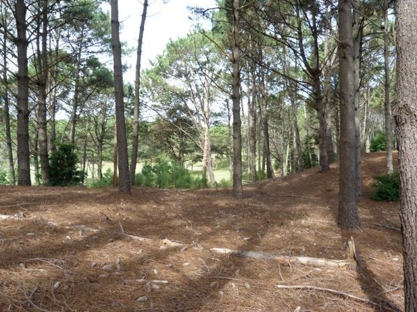 Muy buen terreno en lo mejor del Club del Lago sobre la cancha de golf