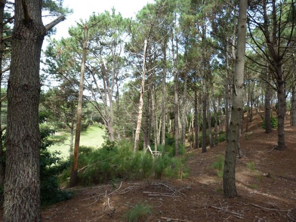 Muy buen terreno en lo mejor del Club del Lago sobre la cancha de golf