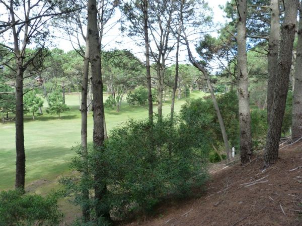 Muy buen terreno en lo mejor del Club del Lago sobre la cancha de golf