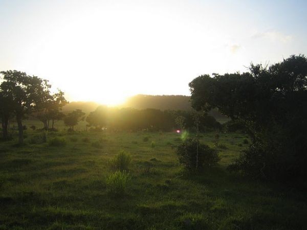 Hermosa chacra en zona de La Pataia