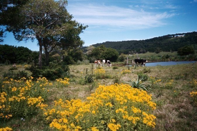Hermosa chacra en zona de La Pataia