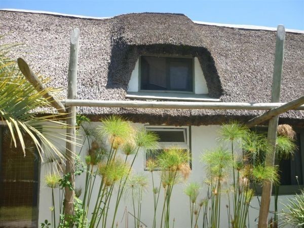Casa en La Barra en alquiler, con muy buena capacidad.