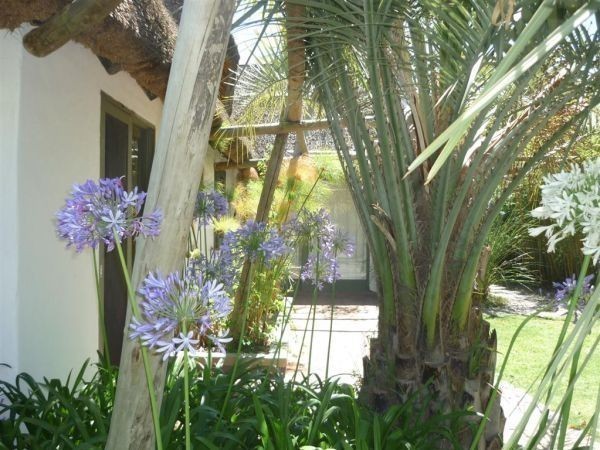 Casa en La Barra en alquiler, con muy buena capacidad.