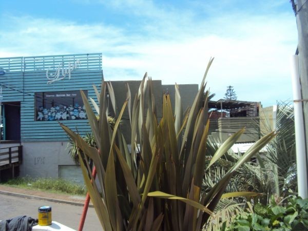 Departamento en alquiler en lo mejor de La Barra de la ruta al mar.