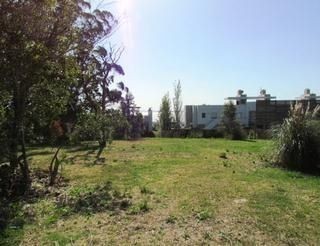 Excelente terreno en Punta Ballena a solo 200 metros del mar.