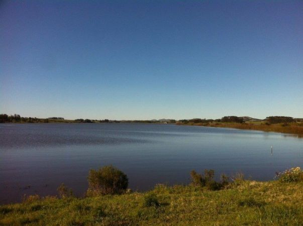 Muy buena chacra con costa a Laguna del Sauce.