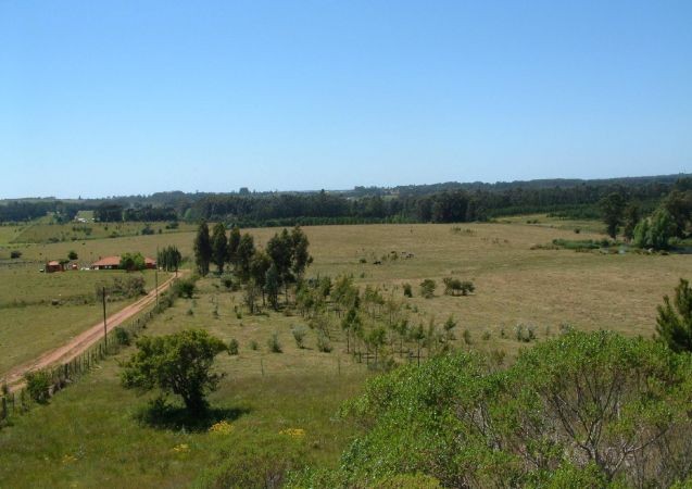 Chacra en venta magnifico entorno Punta Ballena