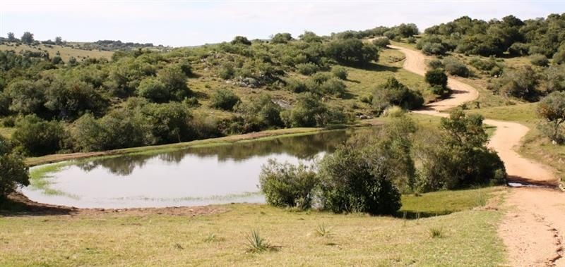 Chacra en Venta, Casco antiguo, piquetes de piedra, costa de arroyo, Jose Ignacio.