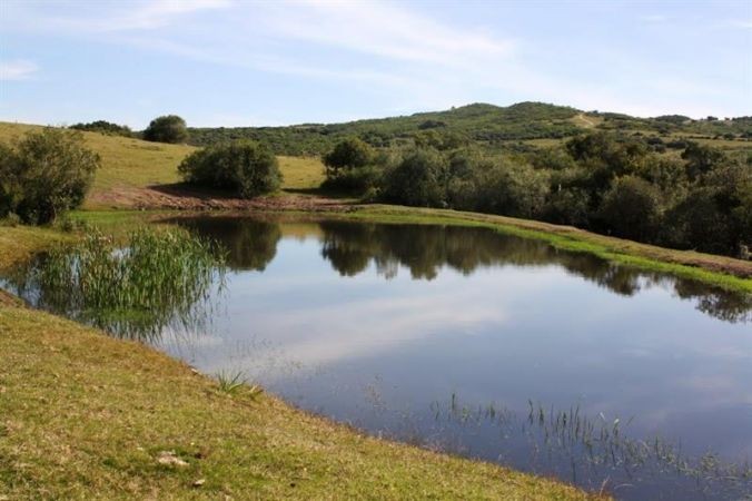 Chacra en Venta, Casco antiguo, piquetes de piedra, costa de arroyo, Jose Ignacio.