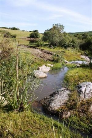 Chacra en Venta, Casco antiguo, piquetes de piedra, costa de arroyo, Jose Ignacio.