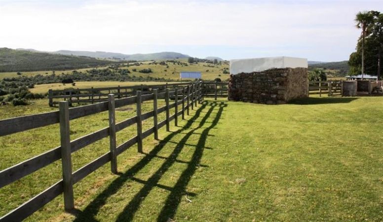 Chacra en Venta, Casco antiguo, piquetes de piedra, costa de arroyo, Jose Ignacio.