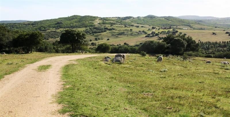 Chacra en Venta, Casco antiguo, piquetes de piedra, costa de arroyo, Jose Ignacio.