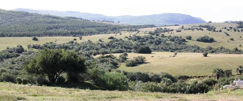 Chacra en Venta, Casco antiguo, piquetes de piedra, costa de arroyo, Jose Ignacio.