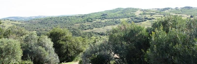 Chacra en Venta, Casco antiguo, piquetes de piedra, costa de arroyo, Jose Ignacio.