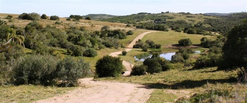 Chacra en Venta, Casco antiguo, piquetes de piedra, costa de arroyo, Jose Ignacio.