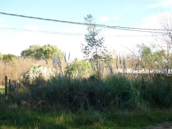 Terreno en venta con muy lindo entorno en El Tesoro, La Barra.
