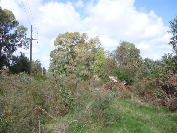 Terreno de 1.700 m2 en venta sobre El Tesoro, La Barra.