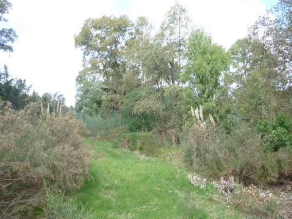 Terreno de 1.700 m2 en venta sobre El Tesoro, La Barra.