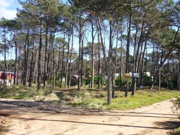 Terreno en venta sobre Montoya, La Barra con vista al mar.
