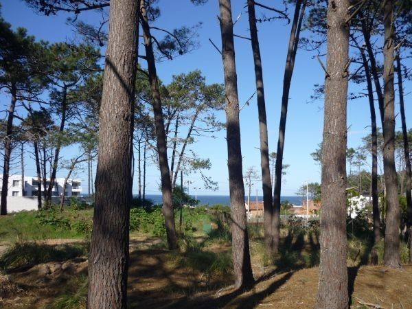 Terreno en venta sobre Montoya, La Barra con vista al mar.