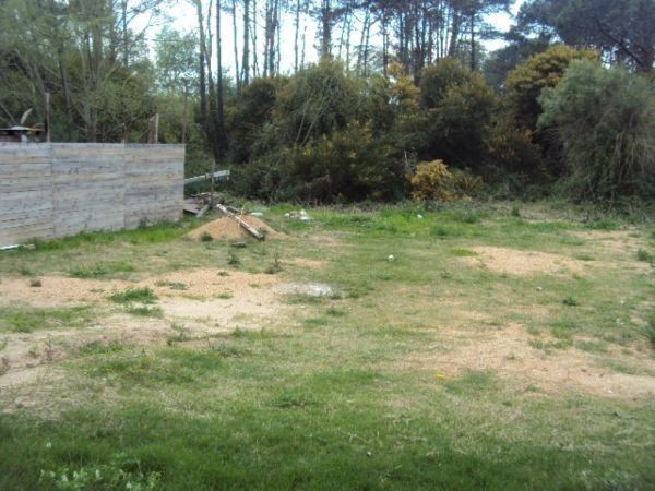 Alquiler Local a estrenar en La Barra .