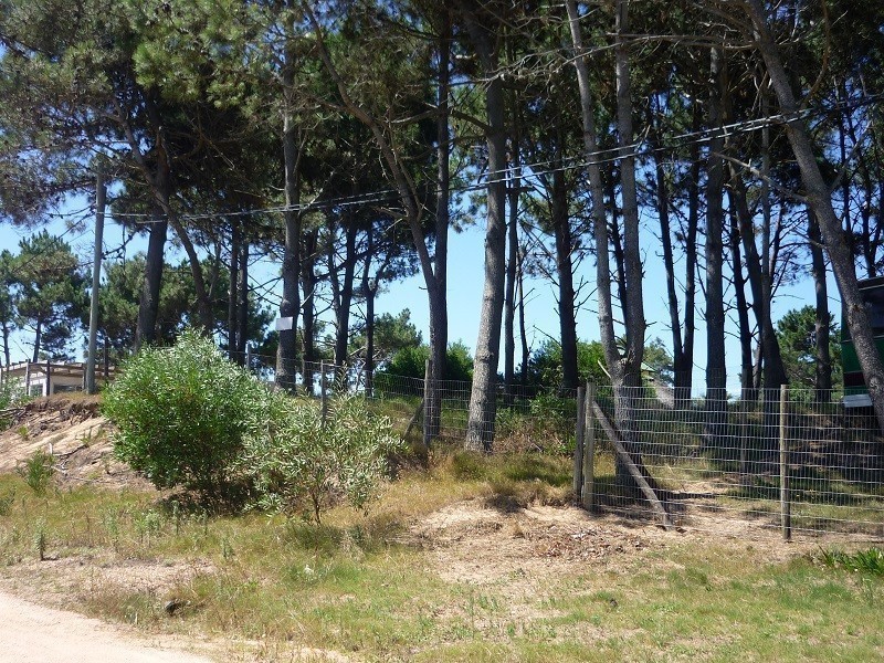 Terreno en venta en Balneario Buenos Aires