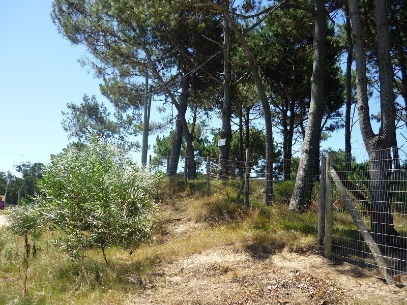 Terreno en venta en Balneario Buenos Aires