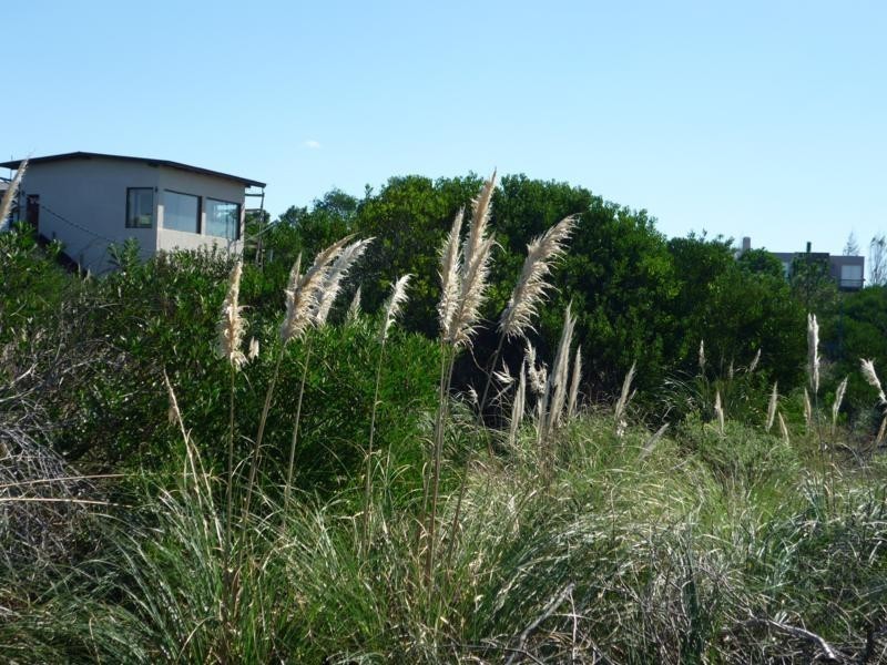 Terreno en venta en Altos de Punta Piedras 